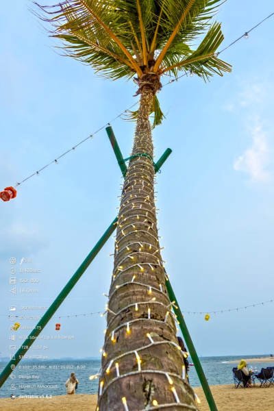 Fairy Lights Up a Palm on Forest City Beach, Johor