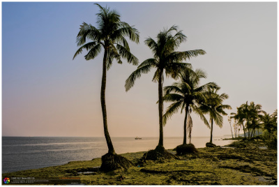 Golden Hour at Monpura Island, Bangladesh