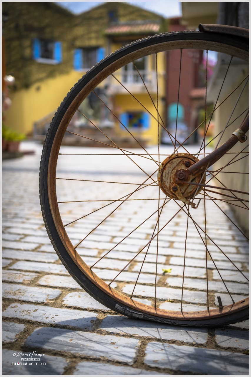 Rusty Bicycle Wheel at the Swiss Sheep Farm, Pattaya