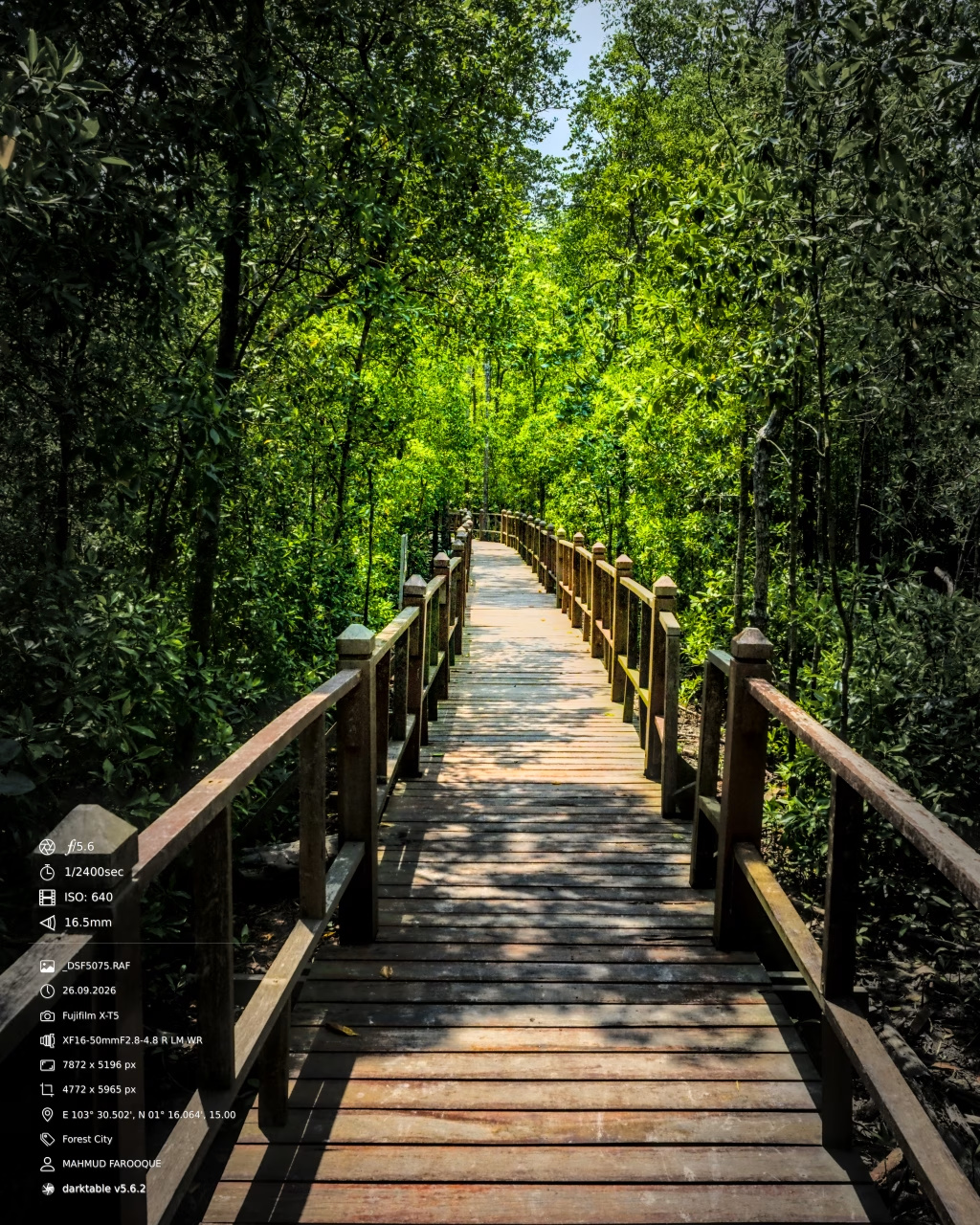 Through the Mangroves at Tanjung Piai